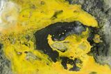 Very Vibrant, Polished Bumblebee Jasper #358608-1